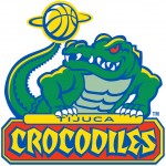 tijuca-crocodiles